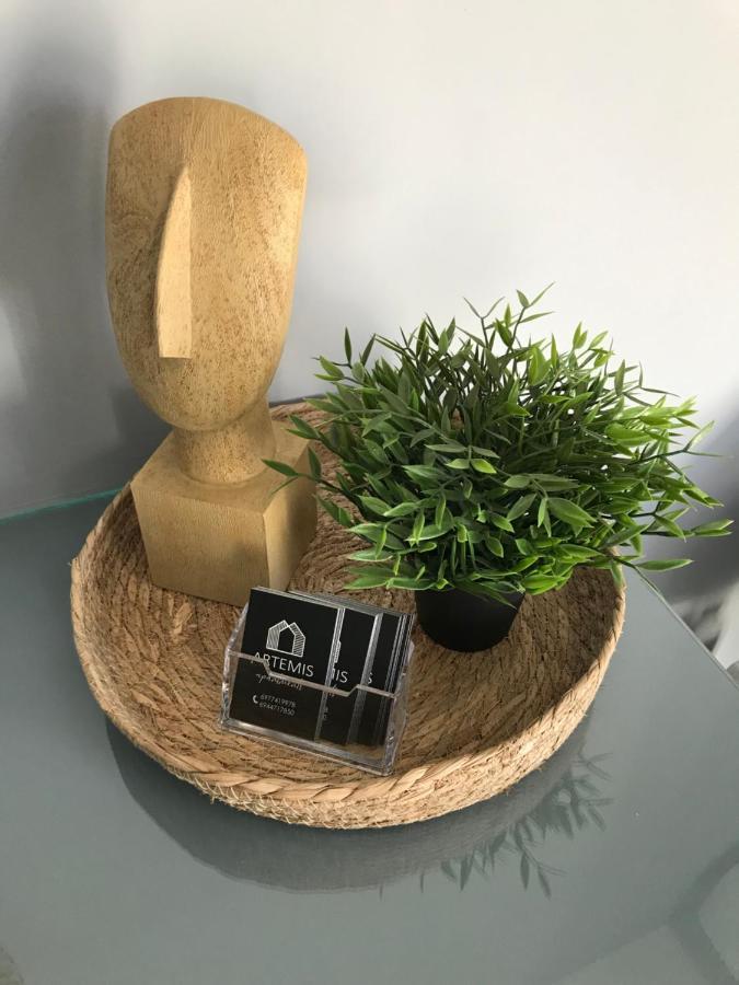 Artemis Apartments 季亚科普通 外观 照片