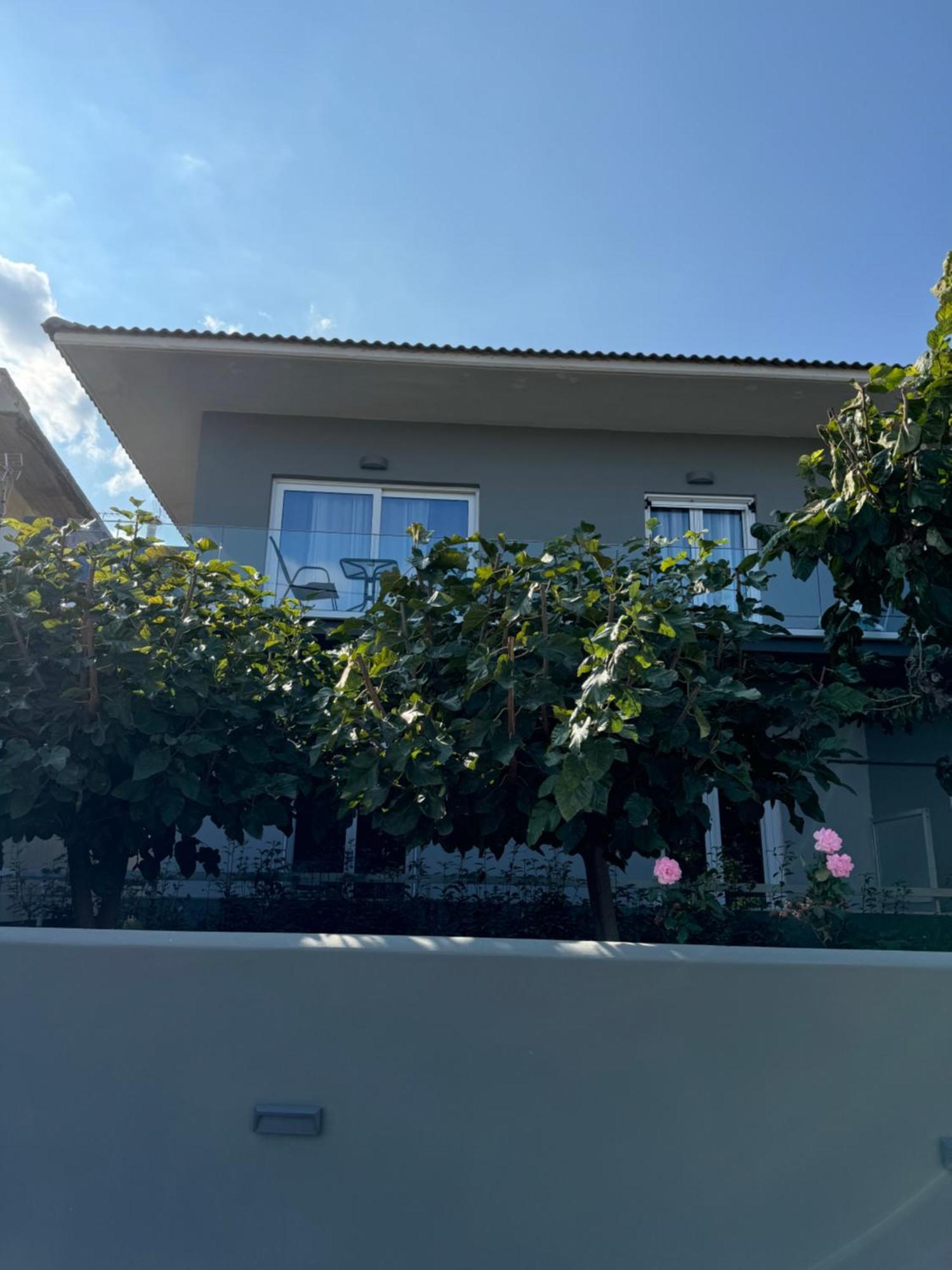 Artemis Apartments 季亚科普通 外观 照片